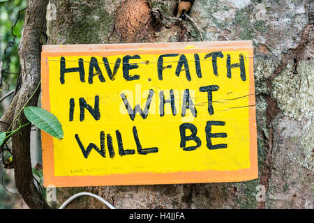 Posted sign on tree in forest forbidding hunting, fishing trapping or  trespassing Stock Photo - Alamy