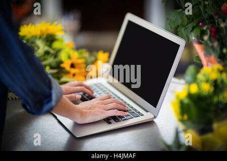 Female florist using laptop in flower shop Stock Photo