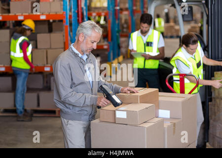 Warehouse manager scanning the boxes Stock Photo