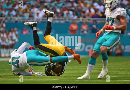 Miami Gardens, FL, USA. 16th Oct, 2016. Miami Dolphins cornerback Byron Maxwell (41) upends Pittsburgh Steelers wide receiver Antonio Brown (84). Miami Dolphins vs. Pittsburgh Steelers. Hard Rock Stadium, Miami Gardens, FL. 10/16/16. Staff Photographer Jim Rassol Credit:  Sun-Sentinel/ZUMA Wire/Alamy Live News Stock Photo