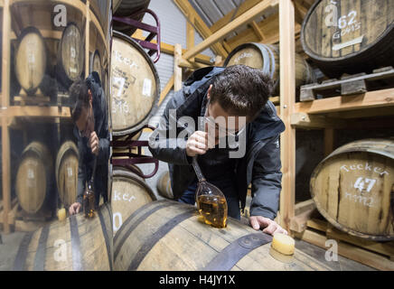 Owen, Germany. 13th Oct, 2016. Immanuel Gruel pulls whisky out of a barrel by use of a whisky-lifter in the barrel cellar of spirits distillery Gruel in Owen, Germany, 13 October 2016. PHOTO: MARIJAN MURAT/dpa/Alamy Live News Stock Photo