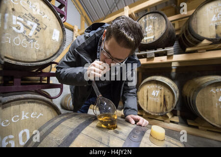 Owen, Germany. 13th Oct, 2016. Immanuel Gruel pulls whisky out of a barrel by use of a whisky-lifter in the barrel cellar of spirits distillery Gruel in Owen, Germany, 13 October 2016. PHOTO: MARIJAN MURAT/dpa/Alamy Live News Stock Photo
