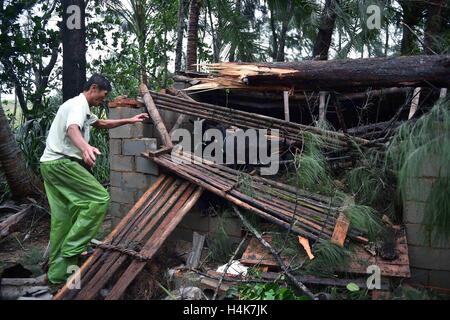 Wanning, China's Hainan Province. 18th Oct, 2016. A sheep fold is destroyed in the storm caused by typhoon Sarika in Defu Village of Wanning City, south China's Hainan Province, Oct. 18, 2016. Typhoon Sarika, the 21st typhoon of the year, made landfall at Hainan Province Tuesday morning. The tropical cyclone, packing maximum winds of 162 km per hour, landed at Hele Town, Wanning City, at 9:50 a.m., according to local meteorological bureau. Credit:  Guo Cheng/Xinhua/Alamy Live News Stock Photo