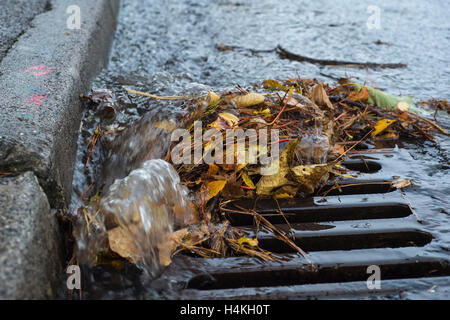 Blocked drain with leaves and rain water. Stock Photo