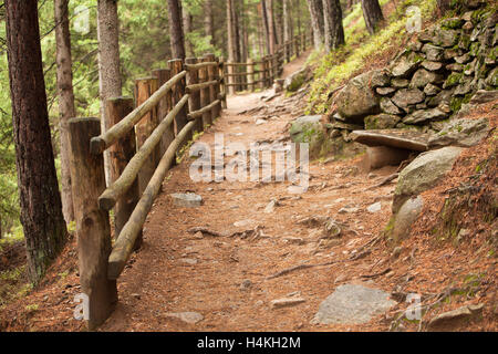 inside a typical forest of the Italian Alps a path brings you long the woods Stock Photo