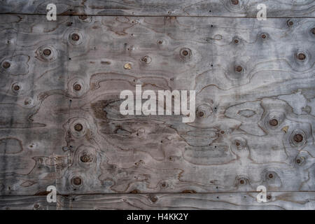 Section of weathered wood paneling with knots and grain swirls creating an abstract pattern Stock Photo