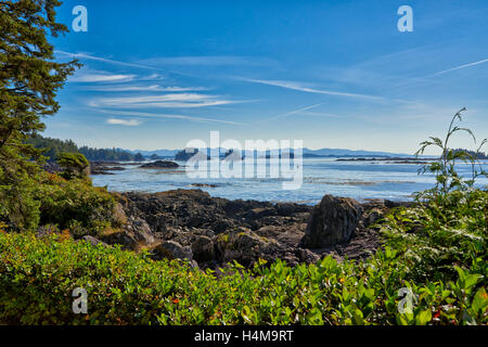 view at Wild Pacific Trail, Pacific Rim National Park Reserve, Ucluelet, Vancouver Island, British Columbia, Canada Stock Photo