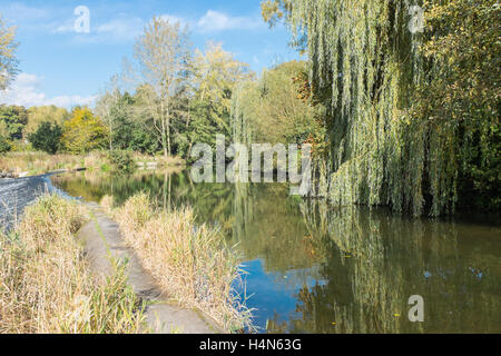 Dinham Weir on the River Teme in Ludlow, Shropshire Stock Photo