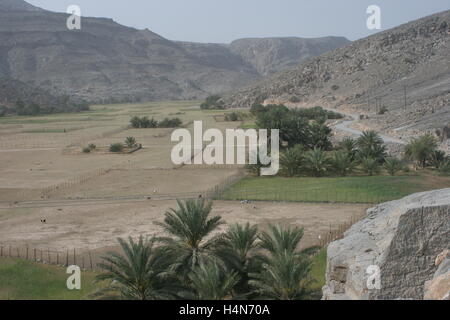 Fields amid the wild landscape of the Musandam Peninsular close to Khasab in northern Oman Stock Photo
