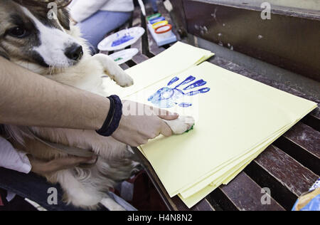 Dog putting footprint painted on paper, animals Stock Photo