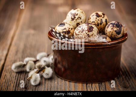 Quail eggs and willow branches on rustic wooden background Stock Photo