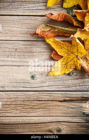 Autumn leaves over wooden background with copy space Stock Photo - Alamy