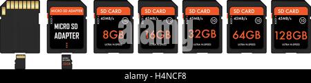 SD And Micro sd card with adapter Stock Vector