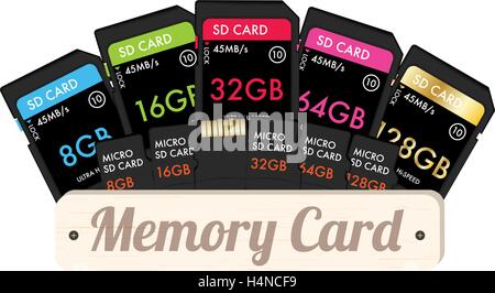 SD and Micro SD memory card Stock Vector