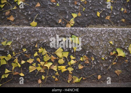 Spot Sumiyoshi Shrine Japan Stock Photo