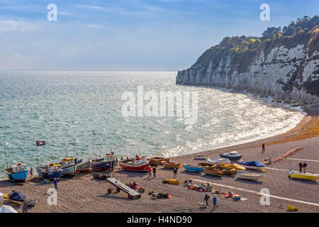 Colourful fishing boats hauled up on the pebble beach at Beer on the Jurassic Coast of South Devon, England, UK Stock Photo