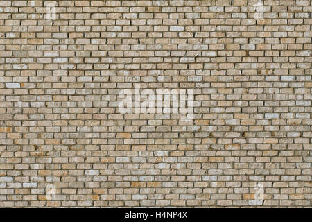 Light colored Brick Wall. White bricks Stock Photo