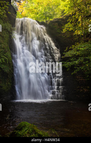 Falling Foss waterfall, near Whitby in the North Yorks Moors Stock Photo