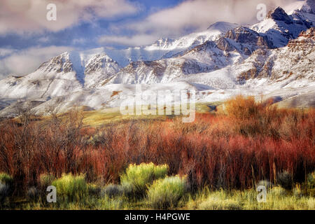 Steens Mountain with fresh snow and red willows. Oregon