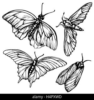 Monochrome, black and white seamless background with butterflies. Elegant elements for design, can be used  wallpaper, decoration  bags  clothes. Hand drawn contour lines  strokes. Stock Vector