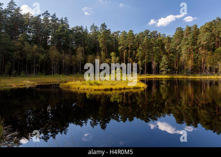 The Pisz Forest, reserve Zakret, floating island, Masuria, Poland, Europe. Stock Photo