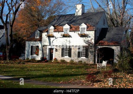 Large house and yard covered in fall leaves Stock Photo