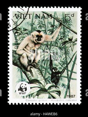 Postage stamp from Vietnam depicting black crested gibbons (Nomascus concolor) Stock Photo