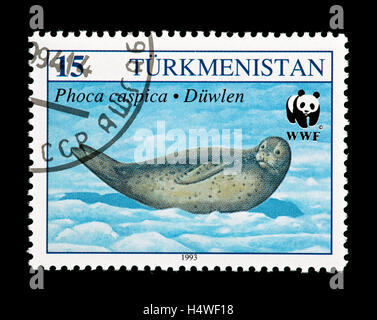 Postage stamp from Turkmenistan depicting a Caspian seal (Phoca caspica) Stock Photo