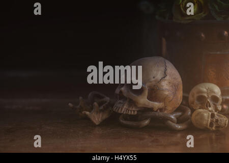 Skull on old wooden floor of a dust. Stock Photo