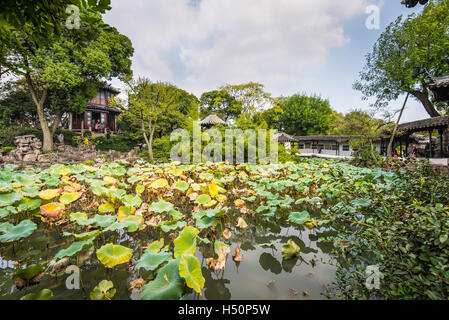 One hundred kinds of lotus in the Humble Administrator's Garden, a Chinese garden in Suzhou Stock Photo