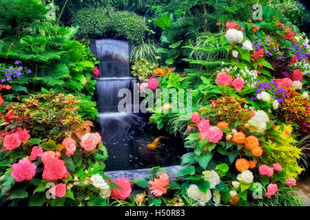 Waterfall and begonias in greenhouse at Butchart Gardens, B.C. Canada Stock Photo