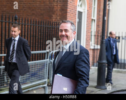 Secretary of State for International Trade and President of the Board of Trade,Liam Fox,leaves a Cabinet meeting Stock Photo