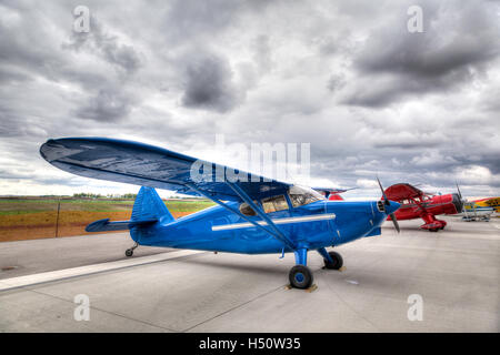 Small vintage single propeller airplanes parked on an airport tarmac. Stock Photo