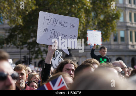 London, England,UK. 18th Oct 2016: Thousands attend the Olympic Parade London Live celebrations to welcome our heroes home in Trafalgar Square, London,UK. Credit:  See Li/Alamy Live News Stock Photo
