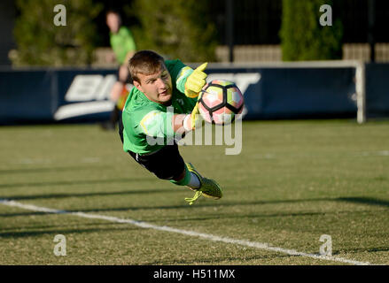 Williamsburg, VA, USA. 18th Oct, 2016. 20161018 - Georgetown goalkeeper MITCHELL AUER (30) makes a diving save against Princeton in the second half at Shaw Field in Washington. © Chuck Myers/ZUMA Wire/Alamy Live News Stock Photo