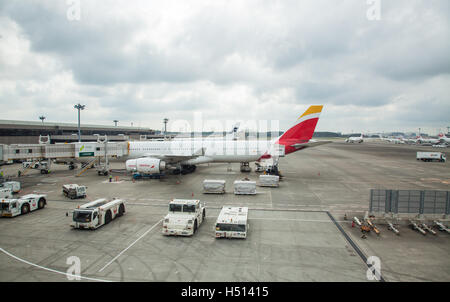 First Iberia airlines aircraft flying inaugural flight IB6801 from Madrid to Tokyo, has just arrived in Narita International airport, Tokyo, Japan on 19 October 2016  Credit:  ImageNature, Alexander Belokurov / Alamy Stock Photo