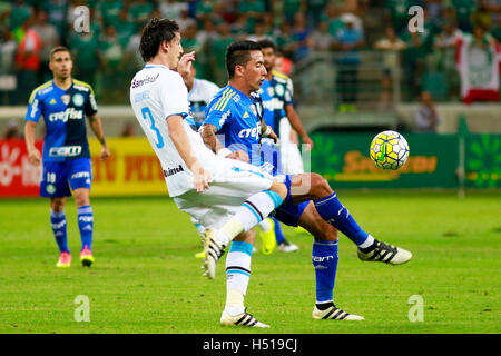 Players of Gremio during the game between Palmeiras and Gremio for the 34th  round of the Brazilian league, known locally as Campeonato Brasiliero. The  game took place at the Allianz Parque in