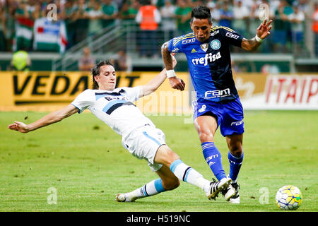 Players of Gremio during the game between Palmeiras and Gremio for the 34th  round of the Brazilian league, known locally as Campeonato Brasiliero. The  game took place at the Allianz Parque in