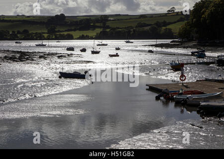 silted creek of river Dart at Stoke Gabriel,britain, inspirational, river, travel, scenery, gabriel, village, england, creek, en Stock Photo