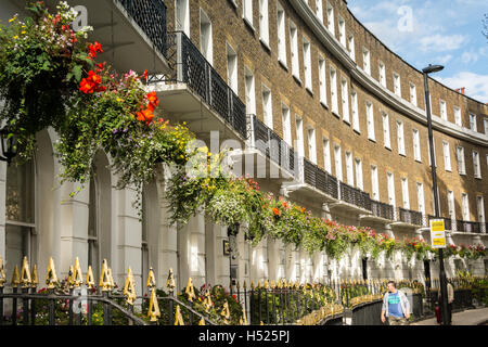 Hanging baskets in one of London's most beautiful crescents - Cartwright Gardens, London WC1, UK Stock Photo