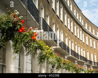 Hanging baskets in one of London's most beautiful crescents - Cartwright Gardens, London WC1, UK Stock Photo