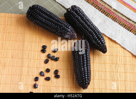 Three purple corn cobs with loose kernels on place mat in Peru Stock Photo