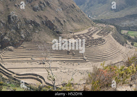 View of the Llactapata (or Patallacta) ruins from the Inca Trail above Stock Photo