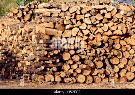 Firewood neatly stacked in the woodpile Stock Photo