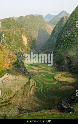 Mountains and terracing near Dong Van in north Vietnam, Ha Giang Province Stock Photo
