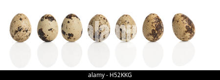 Row of quail eggs with reflection isolated on a white background Stock Photo