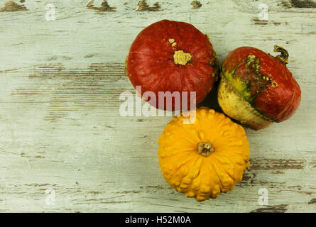 Three decorative pumpkins, two red and one yellow light on the old wooden table with copy space on the left. Top, flat, horizont Stock Photo