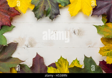 Frame of colorful autumn leaves in yellow, green and brown on a white wooden table Stock Photo