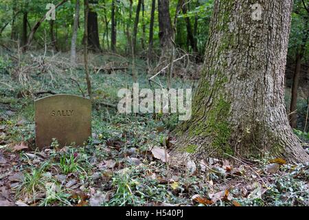 An old grave marker in a forest near Fayetteville, Arkansas, that reads simply "Sally". Stock Photo