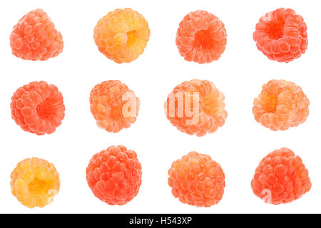 Rose raspberry set fruit closeup isolated on white background Stock Photo